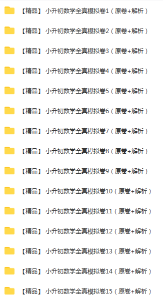 【精品】数学 小升初全真模拟卷（原卷 解析）（共15份）.png