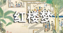 《红楼梦》清代曹雪芹人情小说 TXT全集