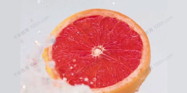 美食静物摄影拍摄教程合集