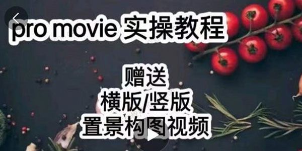 漆十二美食摄影 25?节promovie实操高手课