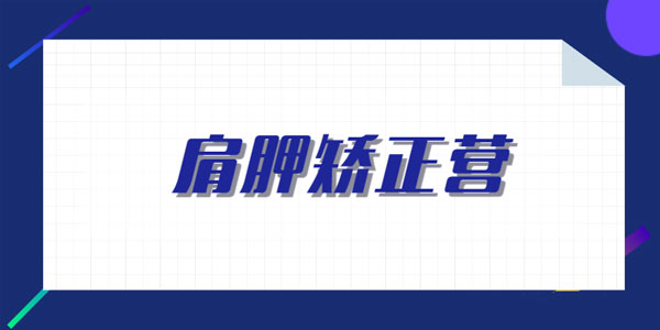 一介粗人-肩胛矫正营2期课程