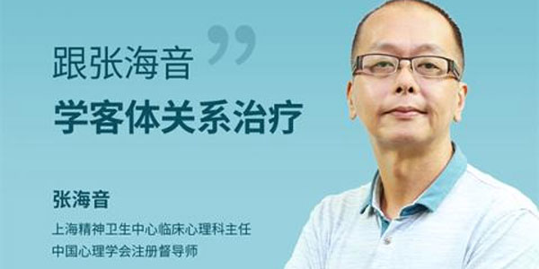 张海音-客体关系治疗高清网络课程