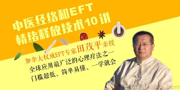 田茂平《中医经络理论和EFT情绪释放技术10讲》