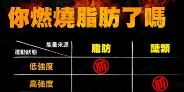 初级健身实用工具图表