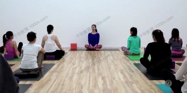 全是瑜-董娟 阴性流动阳性流动身心疗愈1-2级课程