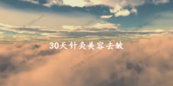 针灸美容美雕针面针-30天针灸美容去皱