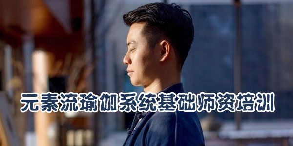 何伟 元素流瑜伽系统基础师资培训