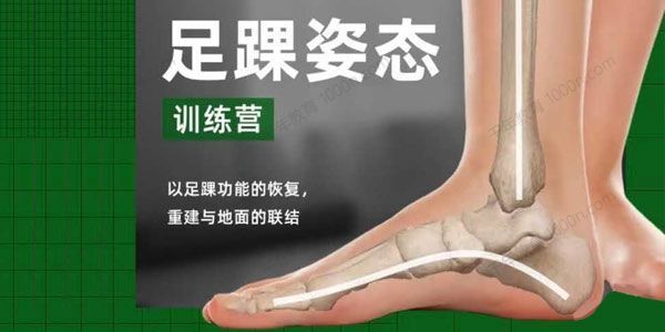 足踝姿态训练营2021年最新课程（根正派）