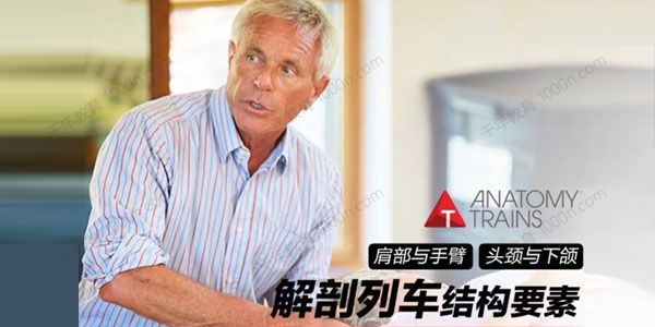 解剖列车结构要素 肩部与手臂、头颈下颌