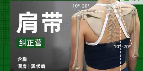 根正派 肩胛矫正新款课程