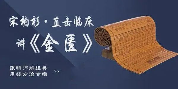 灵兰《宋柏杉：直击临床讲金匮》