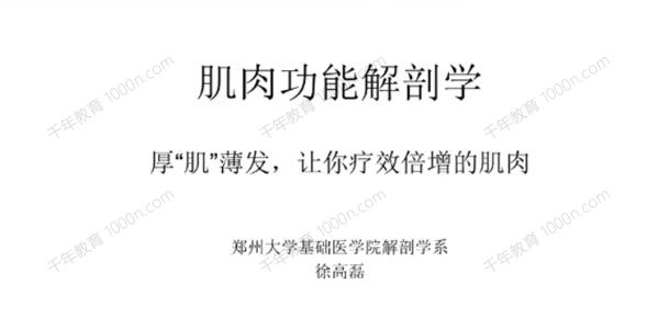 徐高磊《每日一肌：全身肌肉疼痛讲解》