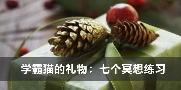 学霸猫的礼物：七个冥想练习