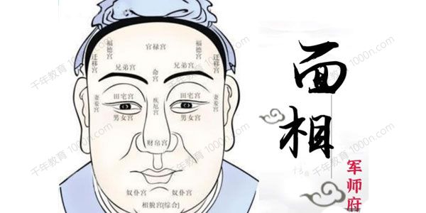 军师府 面相体相初中高级一体班（音频课）