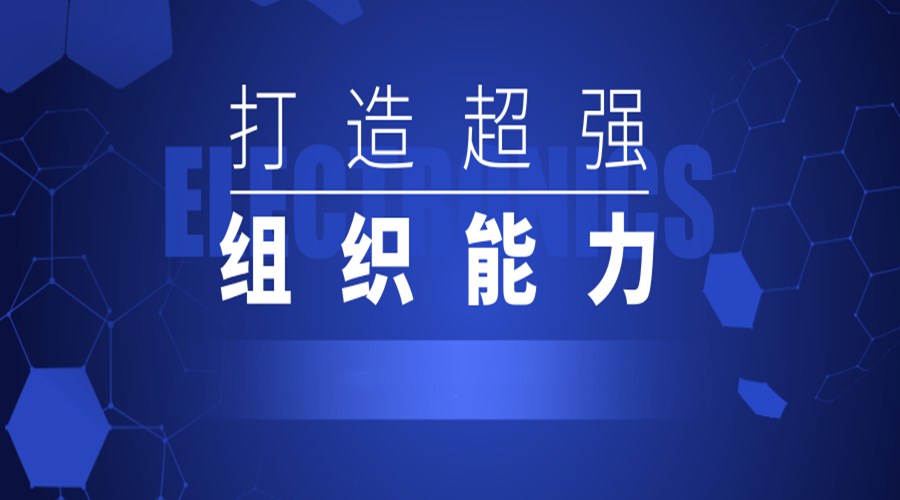 打造超强组织能力二十讲