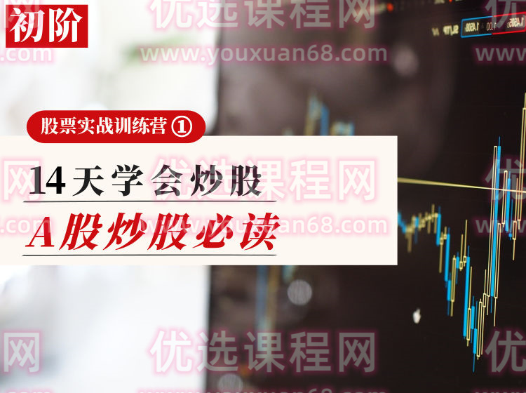 投行大师兄【P1初阶】炒股必读，14天学会炒股-股票投资训练营