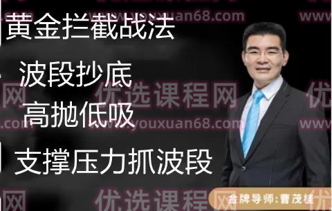 曹茂桂黄金拦截战法波段抄底 精准划分个股重要拐点 视频8集