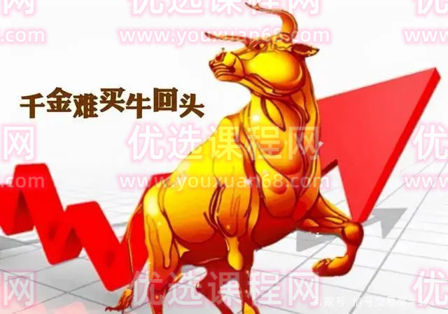 AI老师专注龙回头形态同步更新文字群