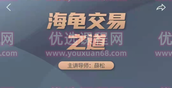 海龟财联社薛松海龟交易之道