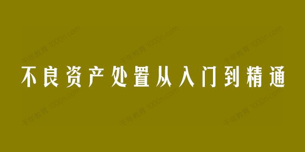 不良资产处置从入门到精通：实战必修课