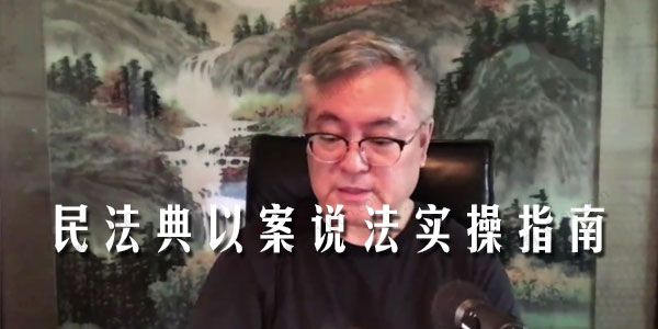 杨立新《权威首发民法典以案说法实操指南