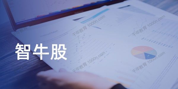 JavaEE企业级实战项目：智牛股