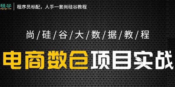 尚硅谷 大数据教程之电商数仓项目5.0抢先版