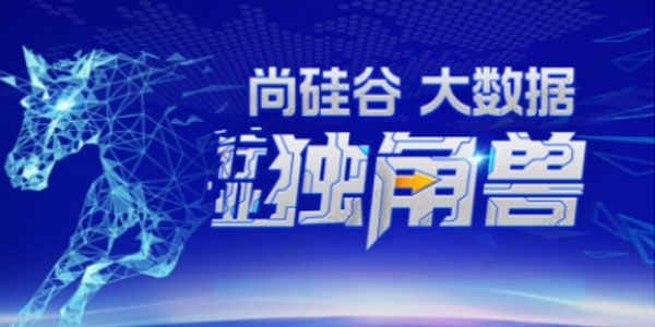 尚硅谷大数据行业独角兽课程 2022年重磅首发