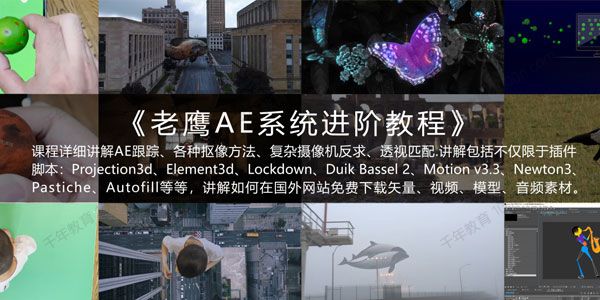 老鹰AE系统进阶教程2021年（含素材）