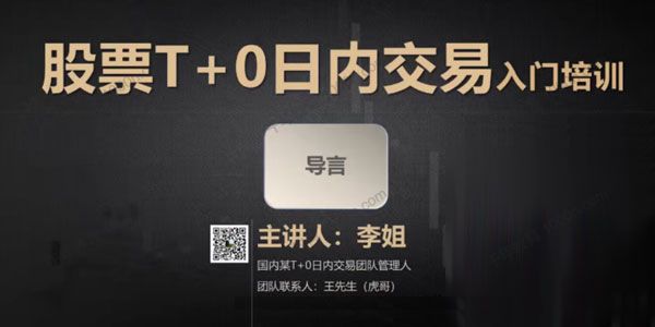 李姐《股票T+0日内交易实战入门培训课》