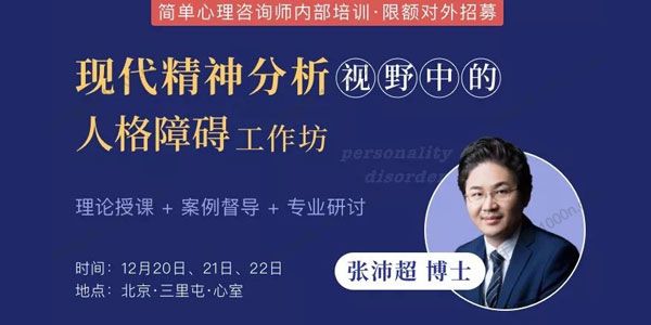 张沛超《现代精神分析核心概念课程》30讲 [