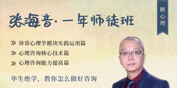 张海音-毕生绝学教你怎么做好心理咨询治疗