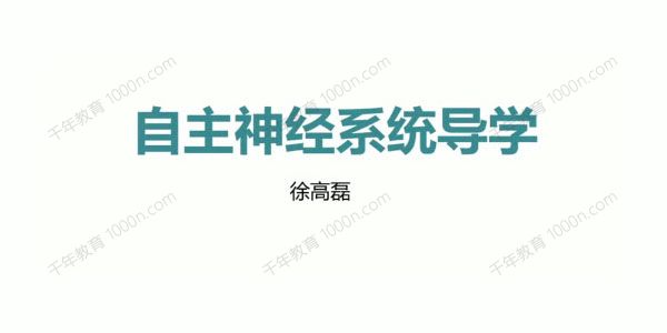 郑大徐高磊内脏疾病神经诊疗课程