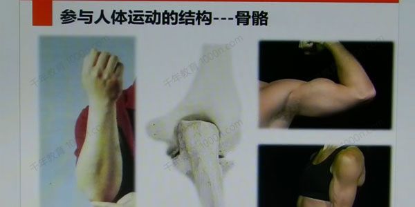李哲讲《脊椎解剖》脊椎骨功能课程