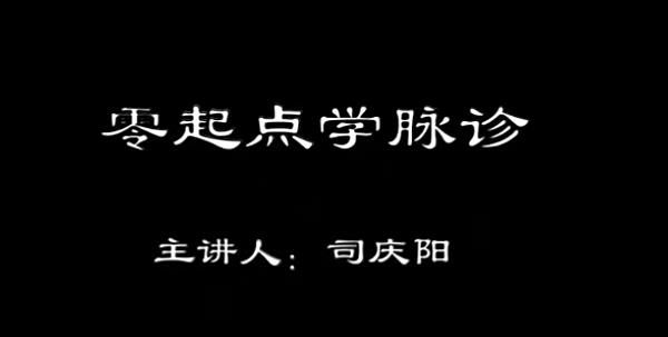 司庆阳《零起点学脉诊》中医脉诊自学零基础入门
