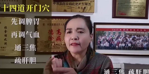 中医脏腑推拿点穴课程初级班+专业班