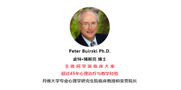 Peter Buirski-主体间心理治疗理论与个案演示12讲