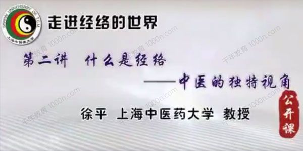 上海中医药大学徐平《走进经络的世界》