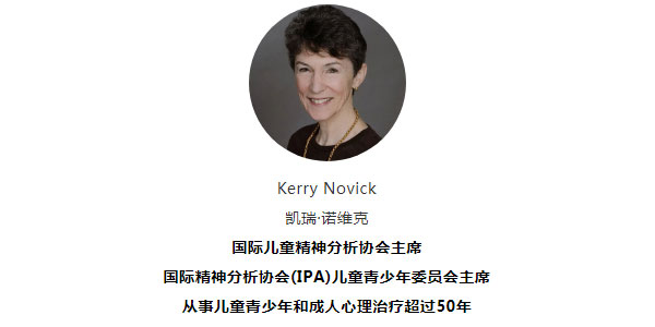 Novick-父母工作与儿童和青少年个体化治疗 从理论到临床实例解析