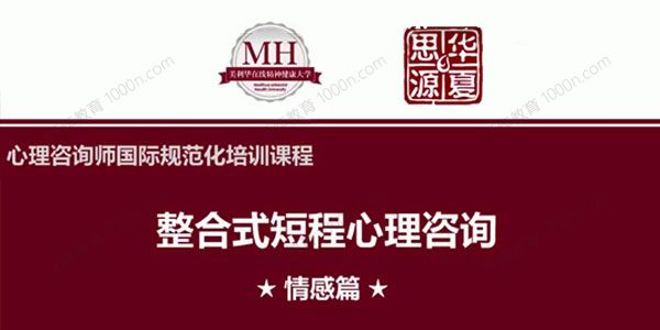 张道龙 心理咨询师国际规范化培训（真实个案与解析）