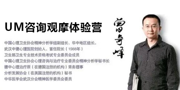 曾奇峰 UM心理咨询观摩体验营线上训练视频课