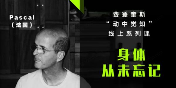费登奎斯