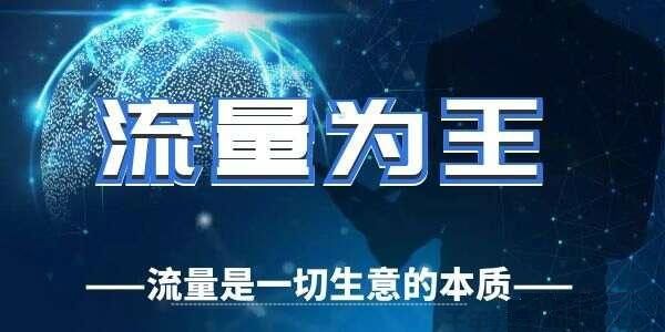 陈昌文谈创业：创业就是搞流量（电子文档）