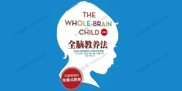 湛庐-林思恩《全脑教养法》精读班