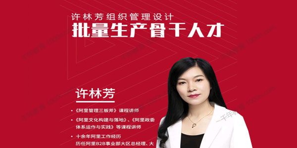 许林芳《批量生产骨干人才》组织管理设计 1