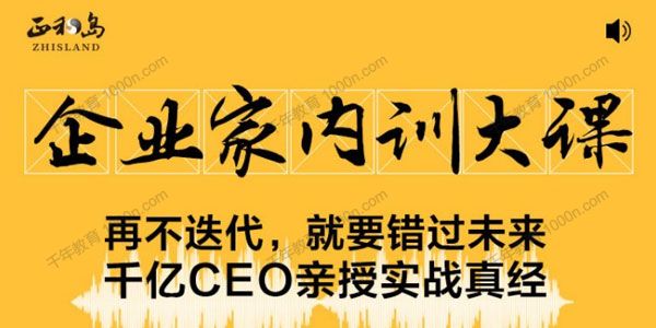 正和岛《企业家内训大课》千亿CEO亲授实战真经2