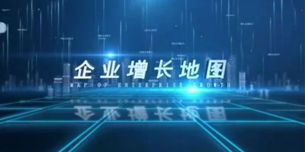 刘一苇《企业增长地图：企业持续增长的操作指南》