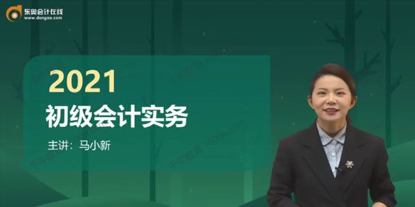 东奥会计在线-马小新 2021初级会计实务