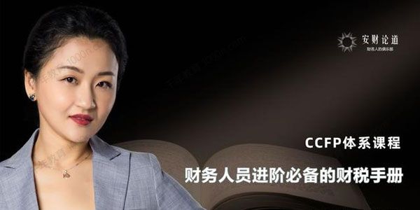 安财论道 CCFP体系财务人员进阶必备的财税手册