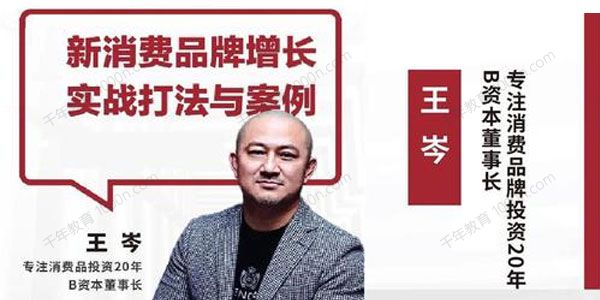 王岑《新消费品牌增长实战打法与案例》